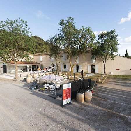 נרבון Chateau Catherine De Montgolfier B&B Et Gites מראה חיצוני תמונה