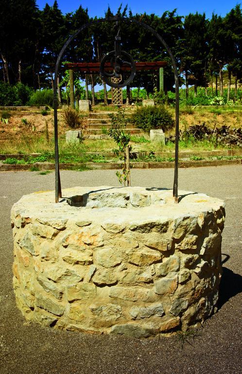 נרבון Chateau Catherine De Montgolfier B&B Et Gites מראה חיצוני תמונה