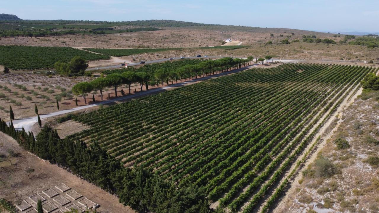 נרבון Chateau Catherine De Montgolfier B&B Et Gites מראה חיצוני תמונה
