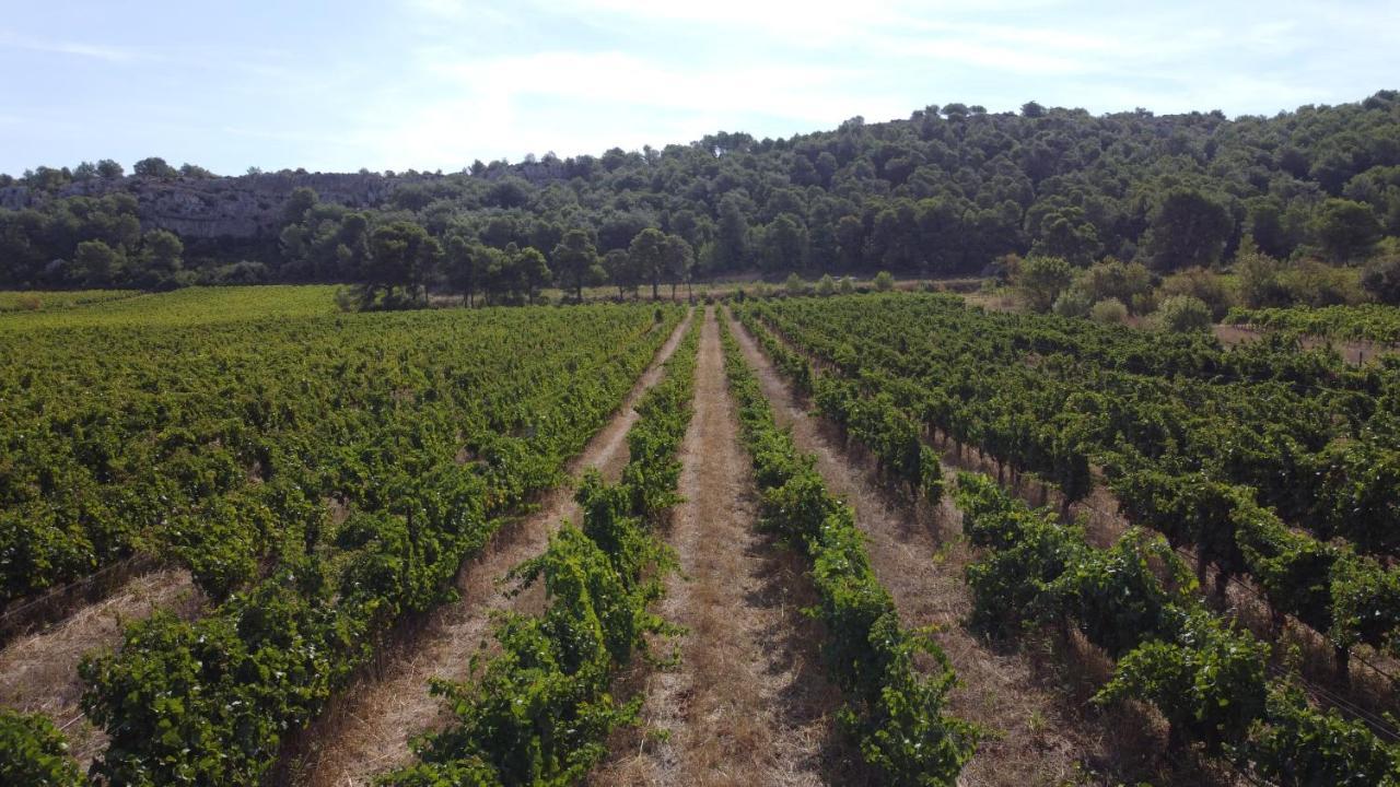 נרבון Chateau Catherine De Montgolfier B&B Et Gites מראה חיצוני תמונה